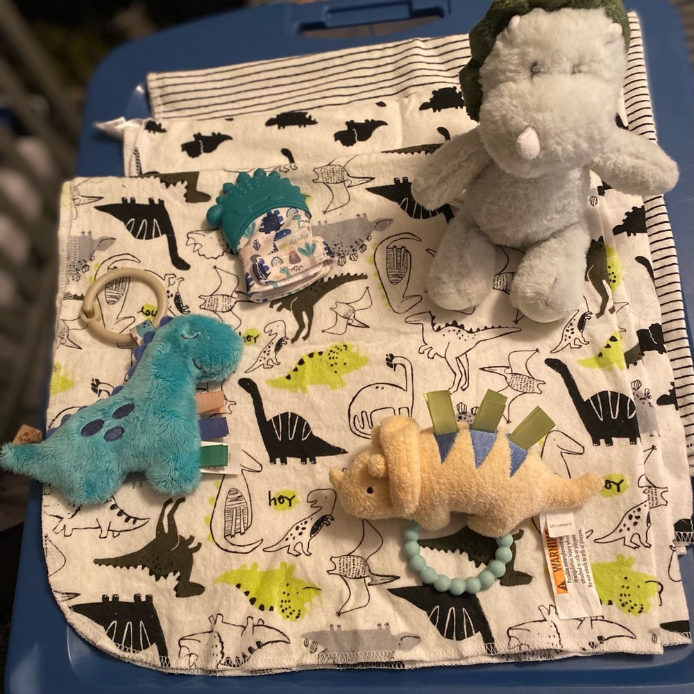 Dinosaur newborn bundle